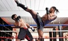One-Month Martial Arts Class Pass (Any Program) for 1 or 2, OR Family Martial Arts Pass for 3 (Up to 46% Off)