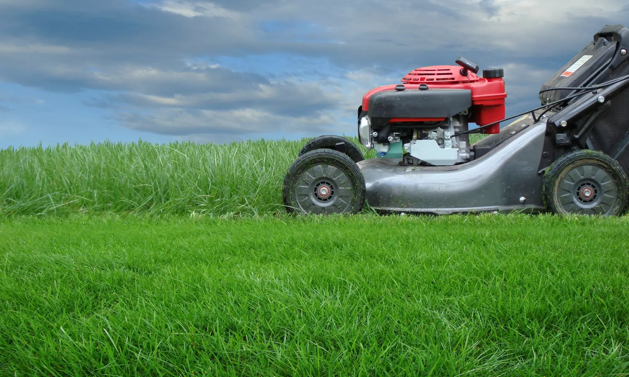 Mm Bronx Tree Service Offers Lawn Mowing & Yard Inspections for Ultimate Curb Appeal! (Up to 20% Off) - Primary Image