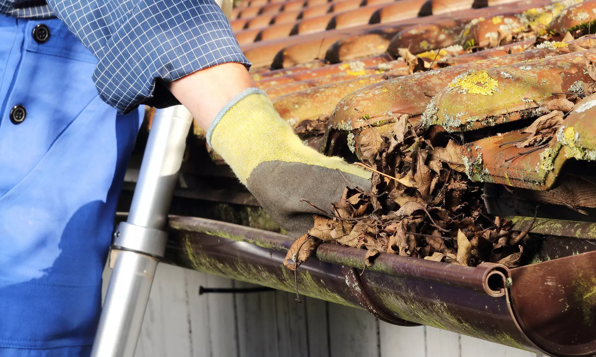 Experience Njm cleaning service's gutter cleaning and moss treatment options with up to 56% off - Primary Image