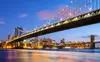 Uncover Coney Island Brooklyn or Saint George Staten with a Guided Walking Tour - Up to 28% Off 