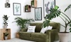 Organic Plant- and Pet-Care Products from All Per Plus (Up to 50% Off). Two Options Available.