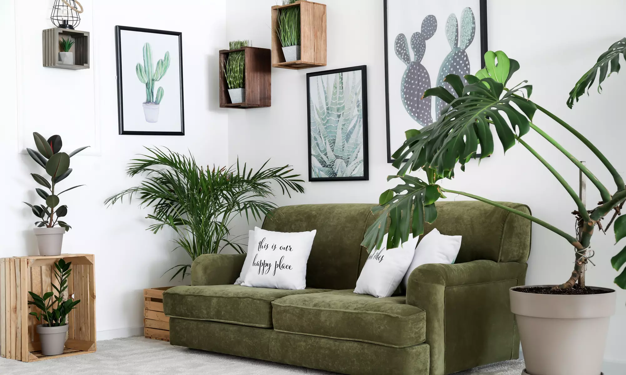 Organic Plant- and Pet-Care Products from All Per Plus (Up to 50% Off). Two Options Available. - Primary Image