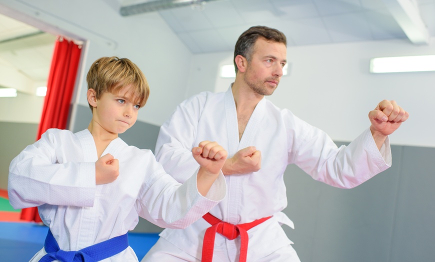 Image 1: Experience Martial Arts Training or Judo Class at Invictus Arts