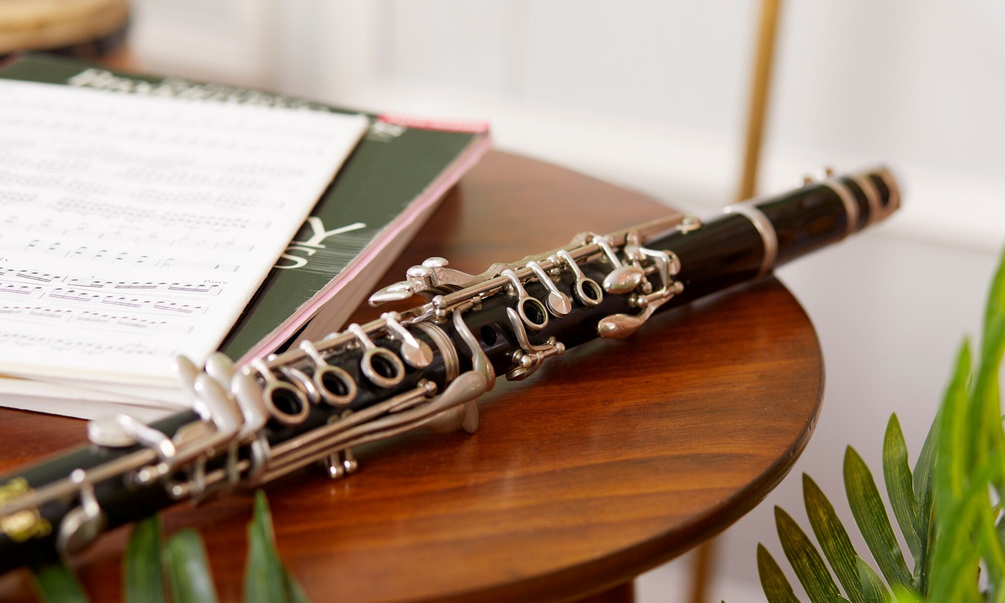 Music Lesson Starter Pack or  Learn Strings- Free Trial Lesson & More