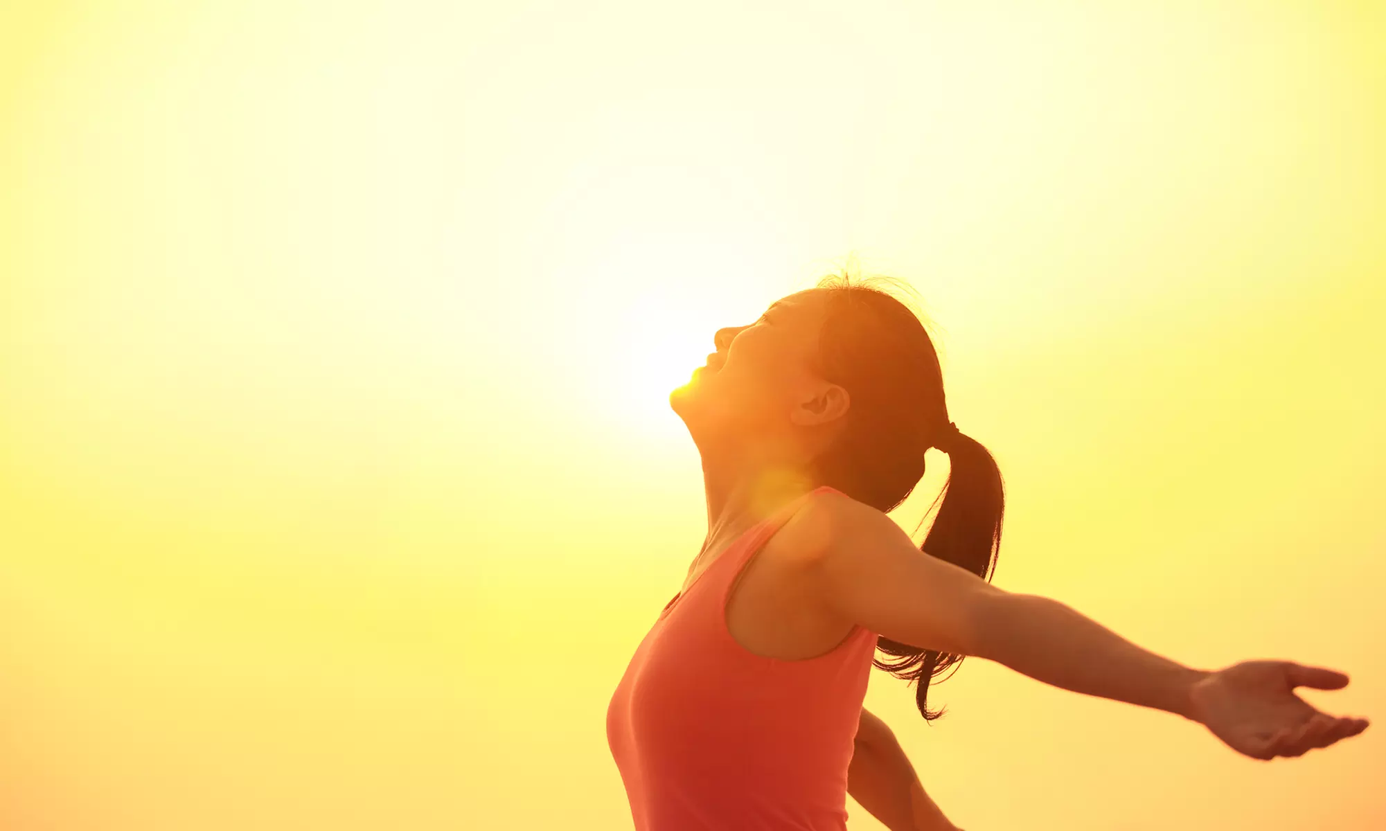 1 or 2 Ergonomic & Health Coaching & Consult Phone Sessions from Transformational Chiropractic (Up to 72% Off) - Primary Image