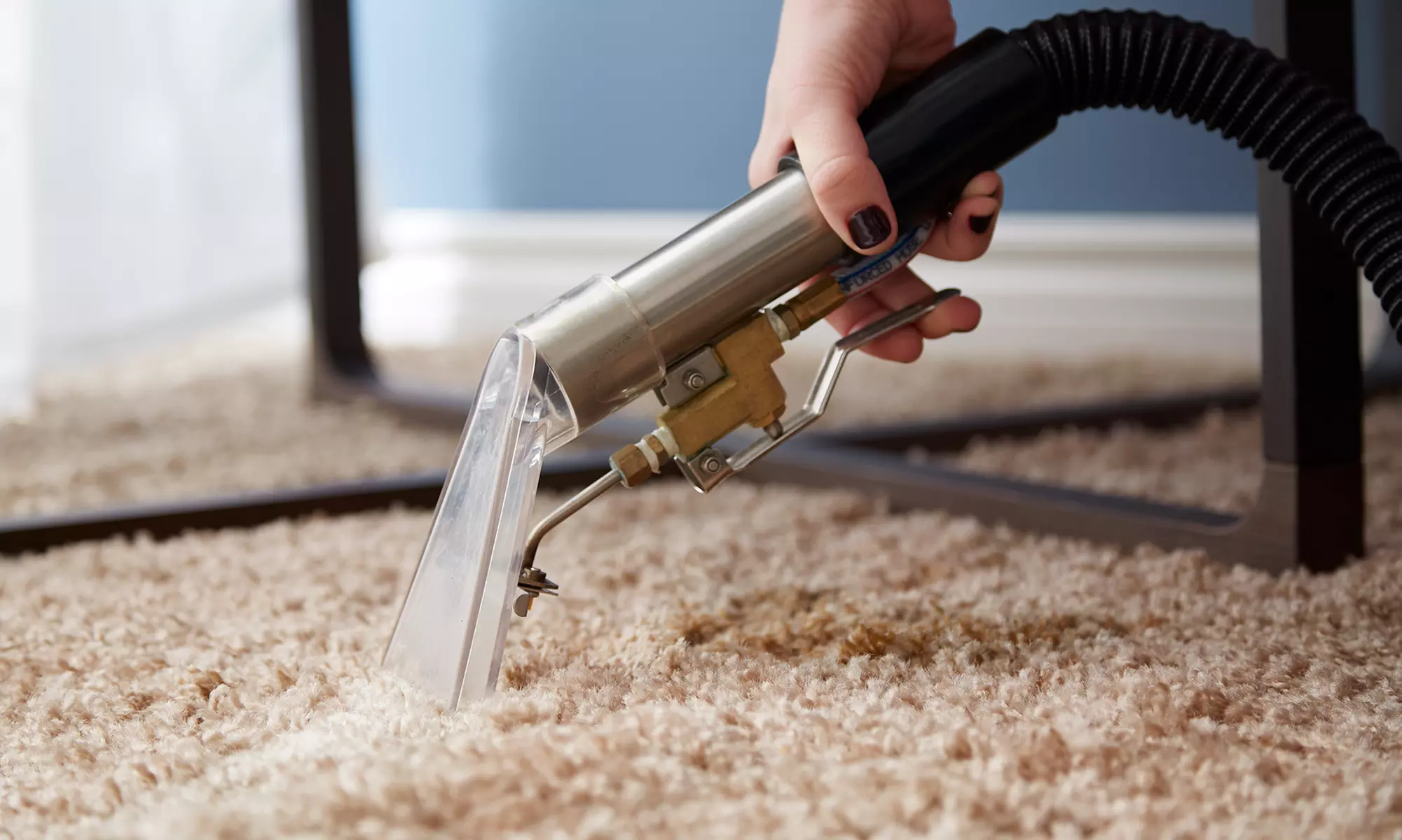Deodorizing or Carpet Cleaning with Scotch Guard Protection from Oxi Fresh Carpet Cleaning (Up to 58% Off) - Primary Image