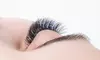 Up to 50% Off on Eyelash Extensions at Ellie_beautyservices