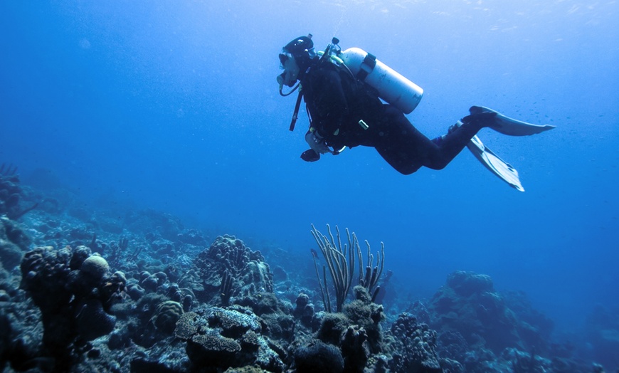 Image 1: Baptême ou initiation de plongée avec Aquatic Rando