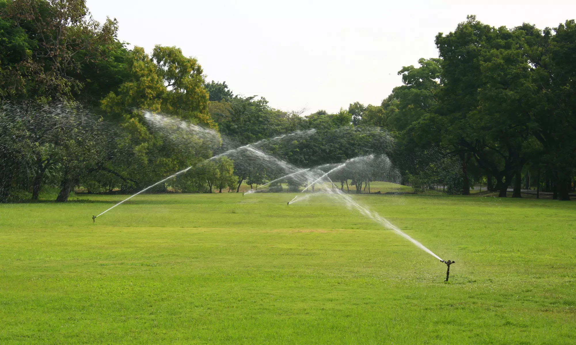 Replace Irrigation Sprinkler Valve Or Drip Irrigation Conversion