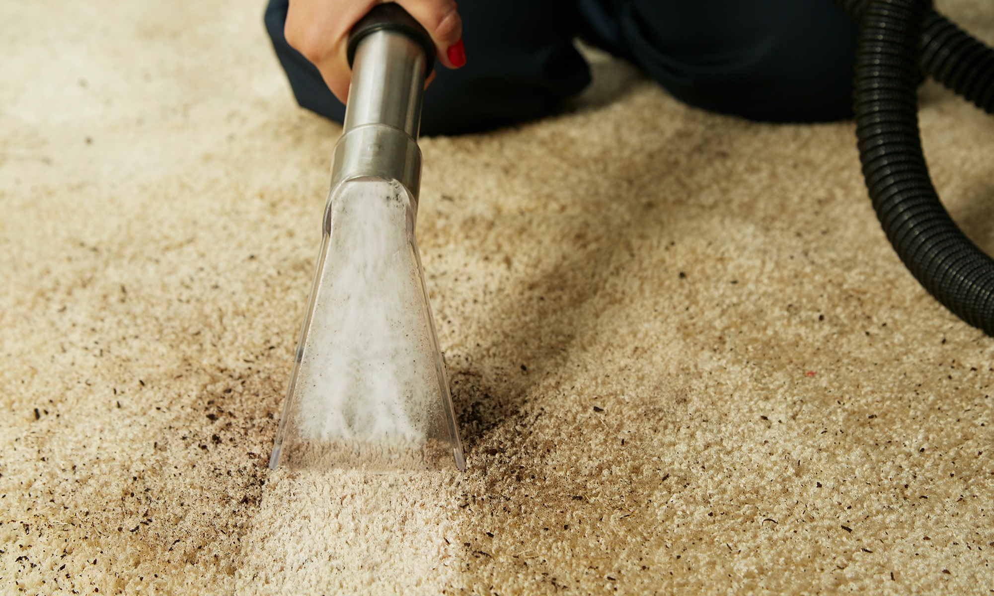 Basic Steam Carpet Cleaning for 1 Area Upto 300 Sq Ft  at Crystal Clear Cleans(Up to 40% Off) - Primary Image