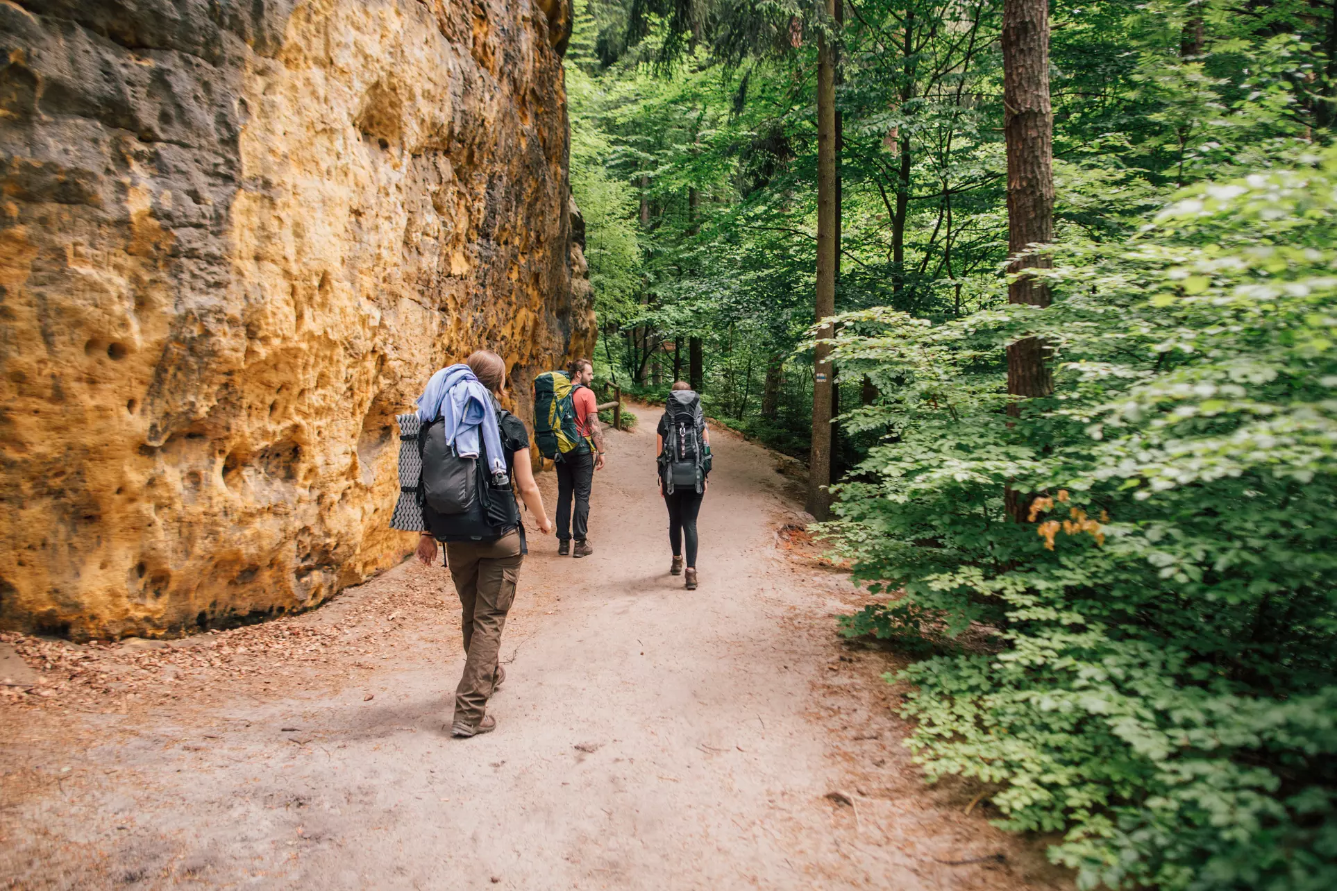 Tickets to Yosemite and Giant Sequoias Day Tour from Incredible Adventures (Up to 15% Off) - Primary Image
