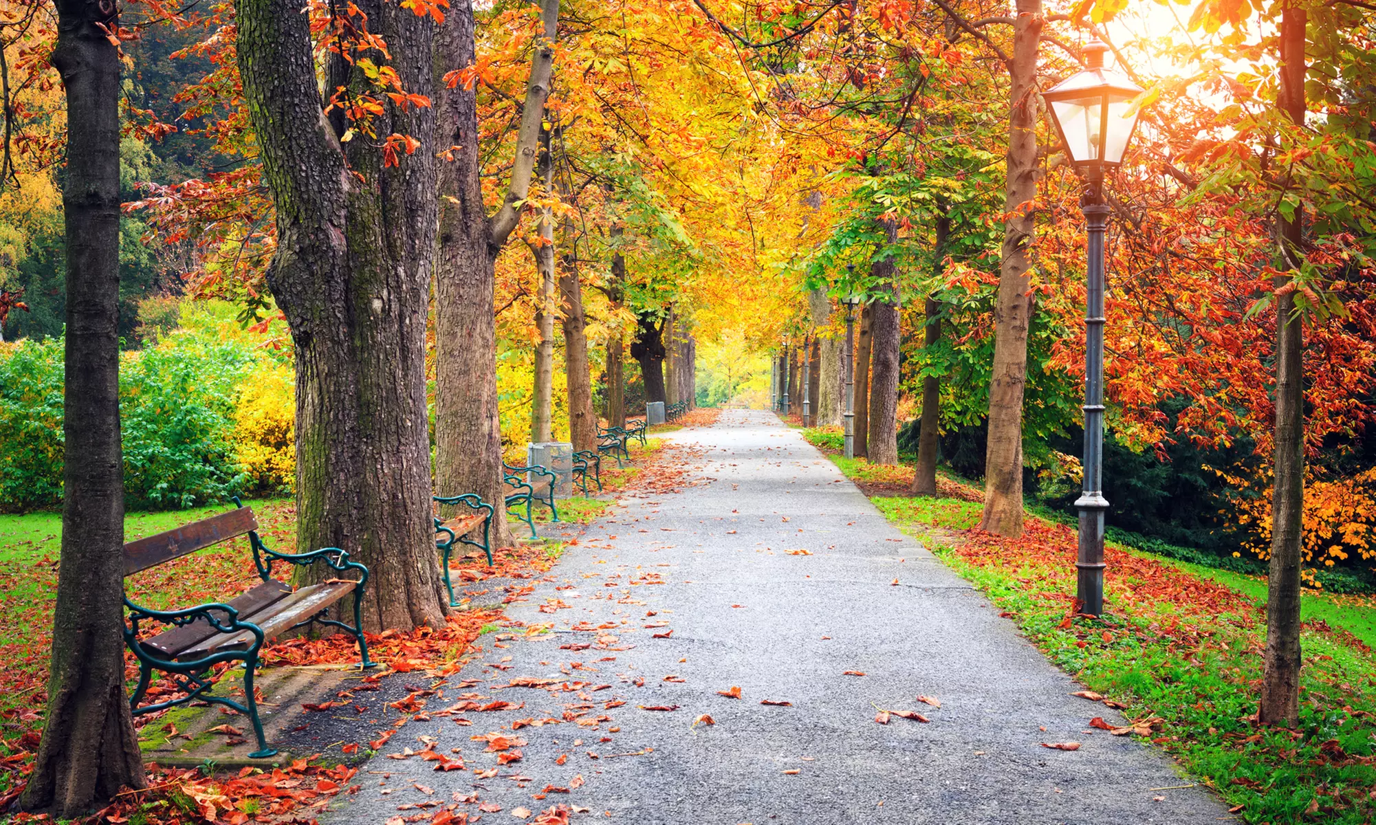 Austria Vacation. Price is per Person, Based on Two Guests per Room. Buy One Voucher per Person. - Primary Image