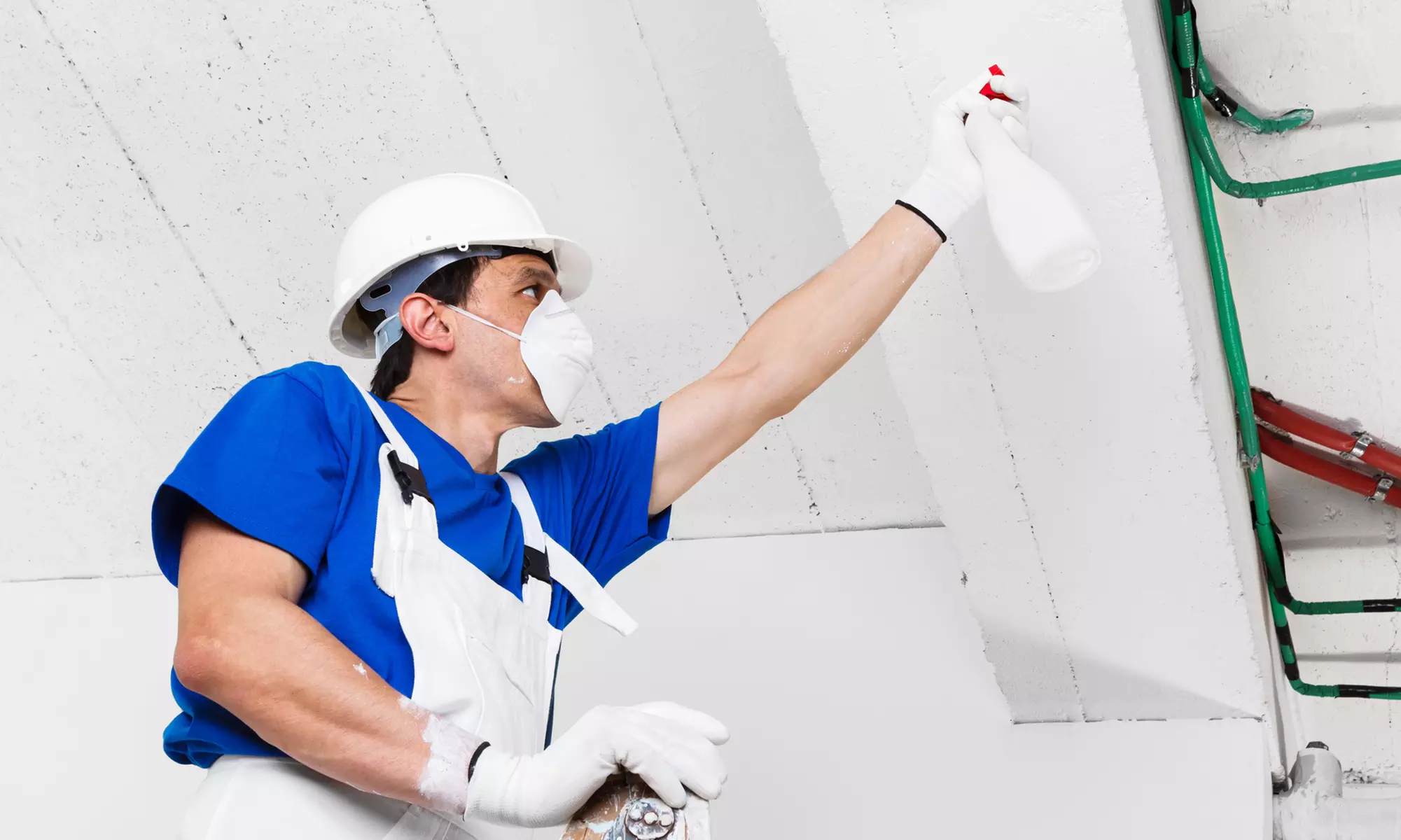Up to 50% Off on Home Mold Testing / Removal at Lone Star Pro Services - Primary Image