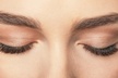 SHEILA MO BEAUTY STUDIO | Academy offers the Korean Lash Lift + Brow Lamination Combo - Image 5