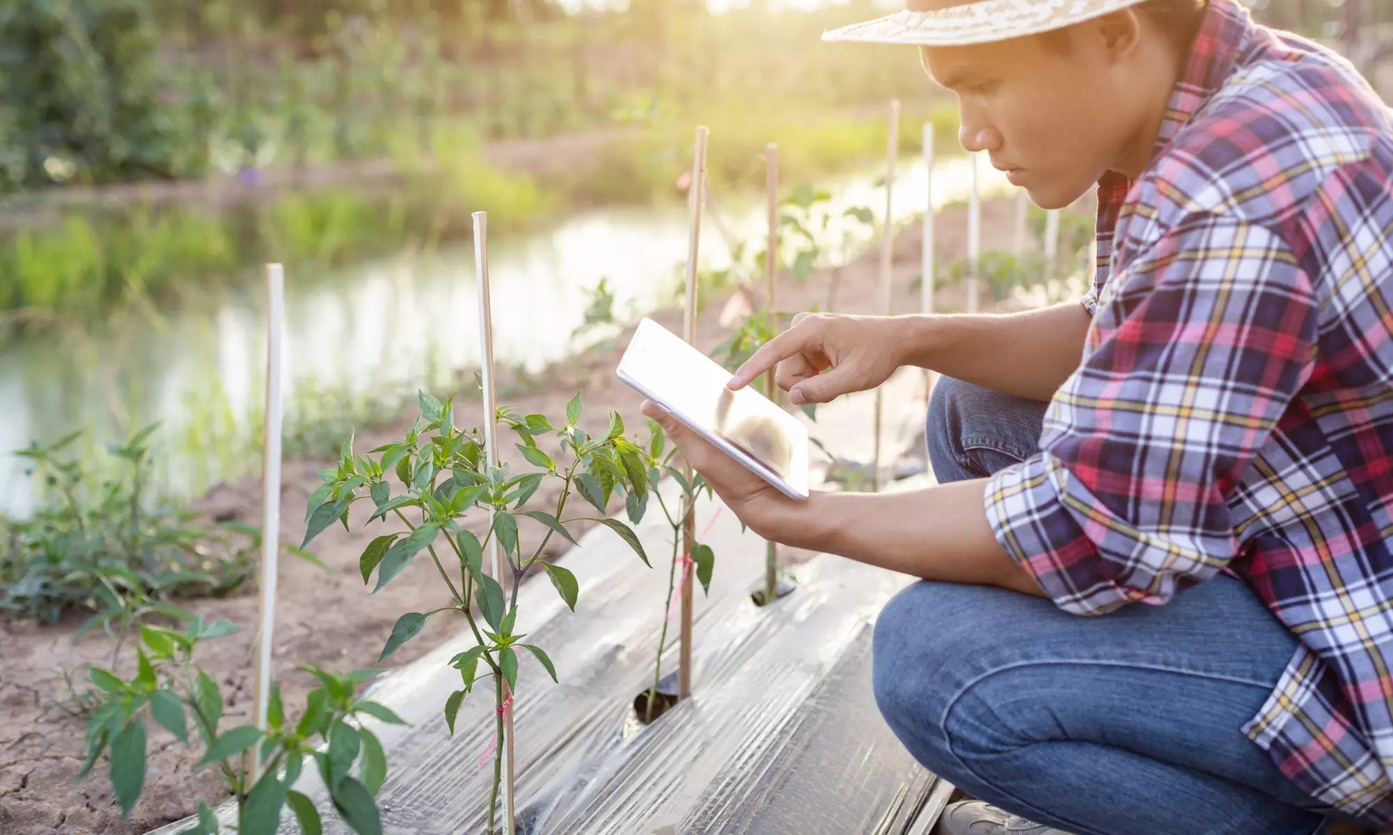 Up to 75% Off on Online Garden/Beekeeping Course at The Animal Care - Primary Image