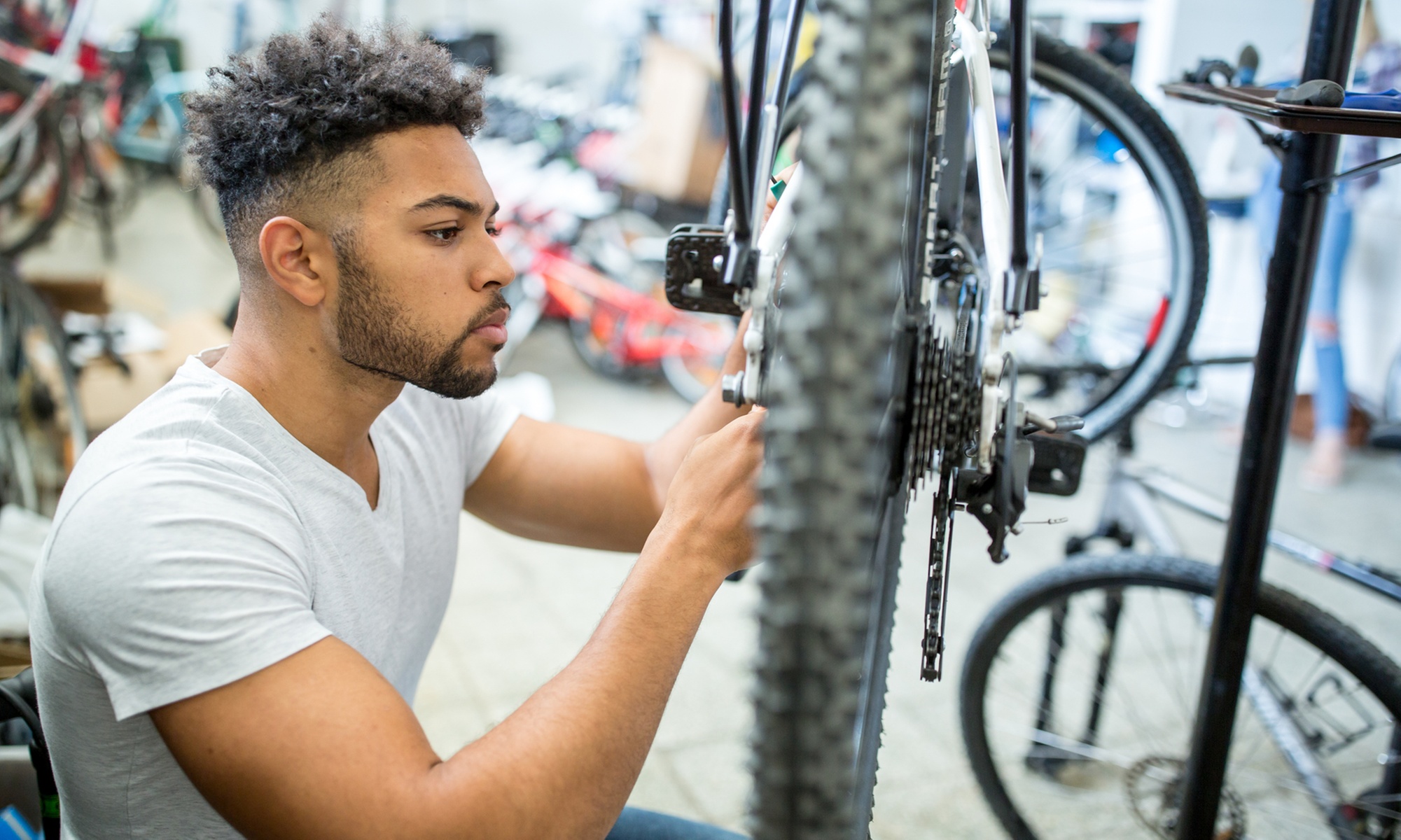 Bike Maintenance, Cycling, or Motor Bike Training Online Course