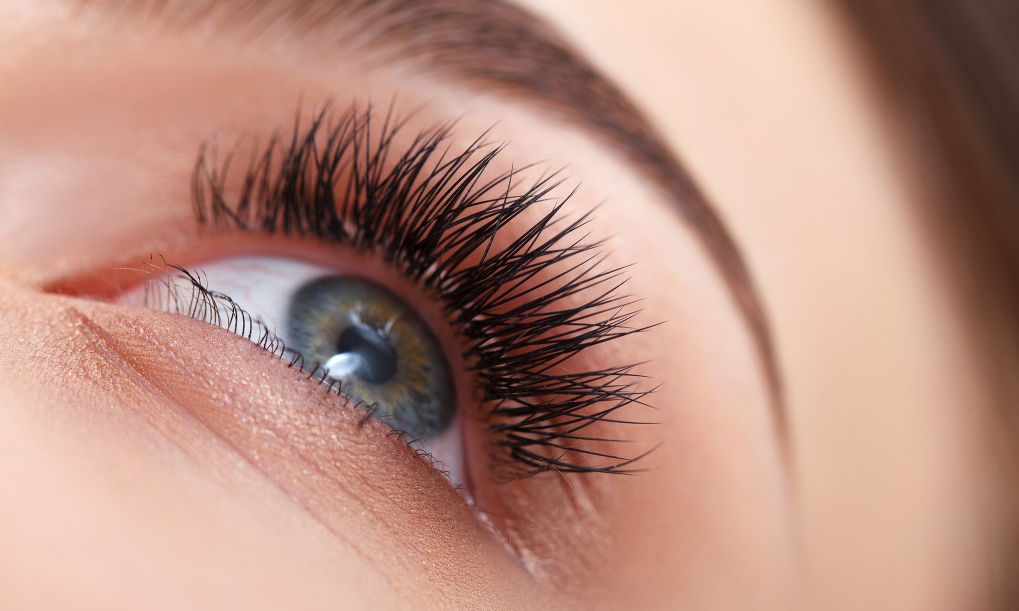 Transform Your Look: New Set of Volume 3D Cat Eye Eyelash Extension