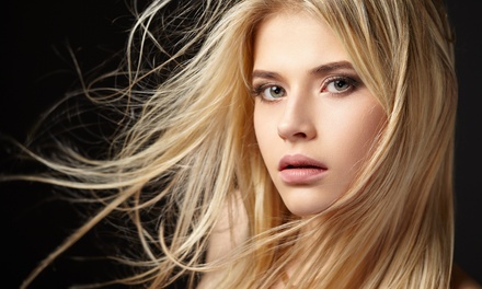 One Haircut, Shampoo, Blow Dry, and Style - St. Pete Beauty Co.