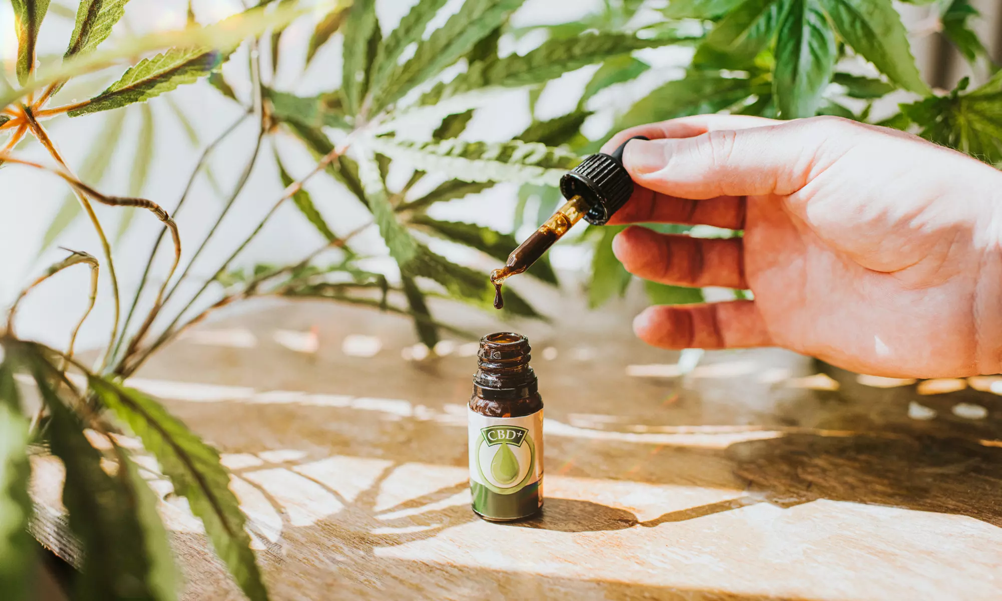 One Initial Medical Marijuana Consultation at 1Body1Life (Up to 74% Off) - Second Medium