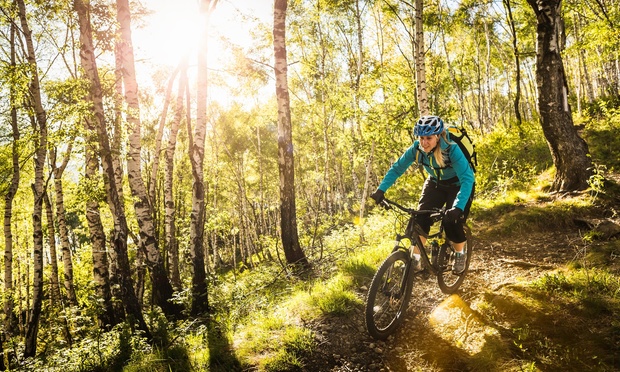 What to expect media