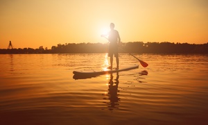 Stand-Up Paddleboard Hire