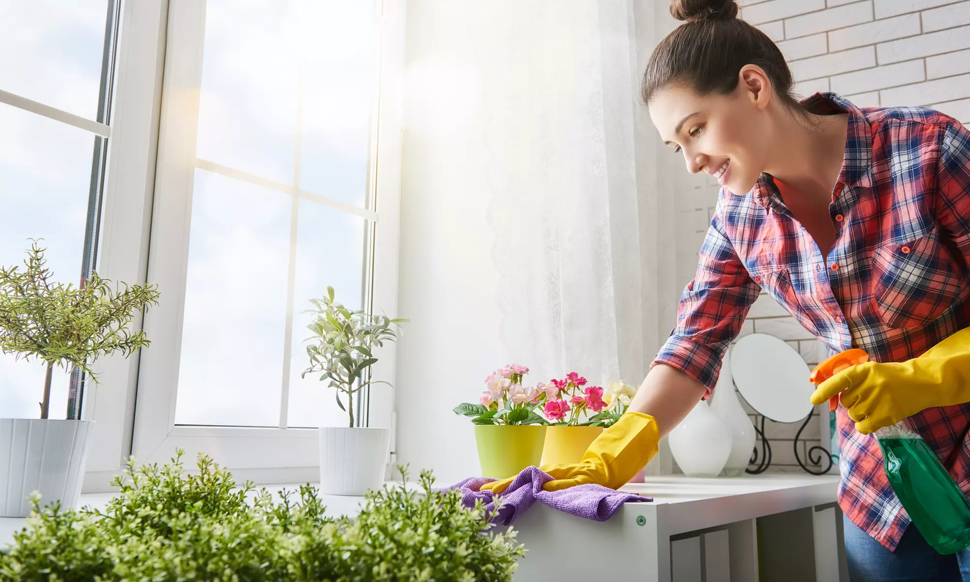 Get Five, Six, Seven, or Nine Hours of Sparkling House Cleaning Option
