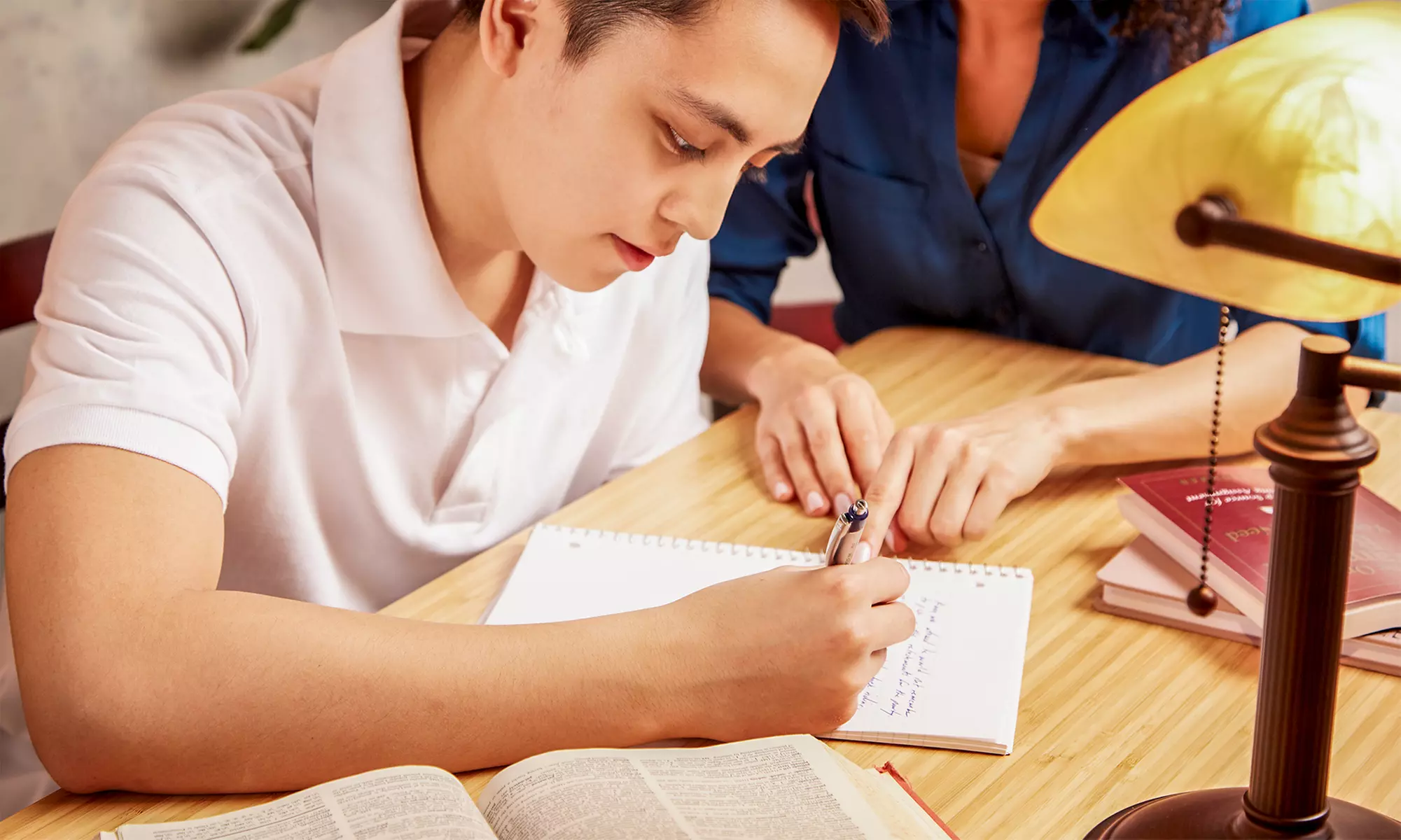 C$95 for One Assessment of Skills and Two Tutoring Sessions (C$315 Value) - Primary Image
