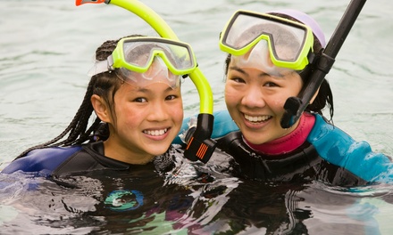 Initiatieduik voor 1 persoon - IDS VZW