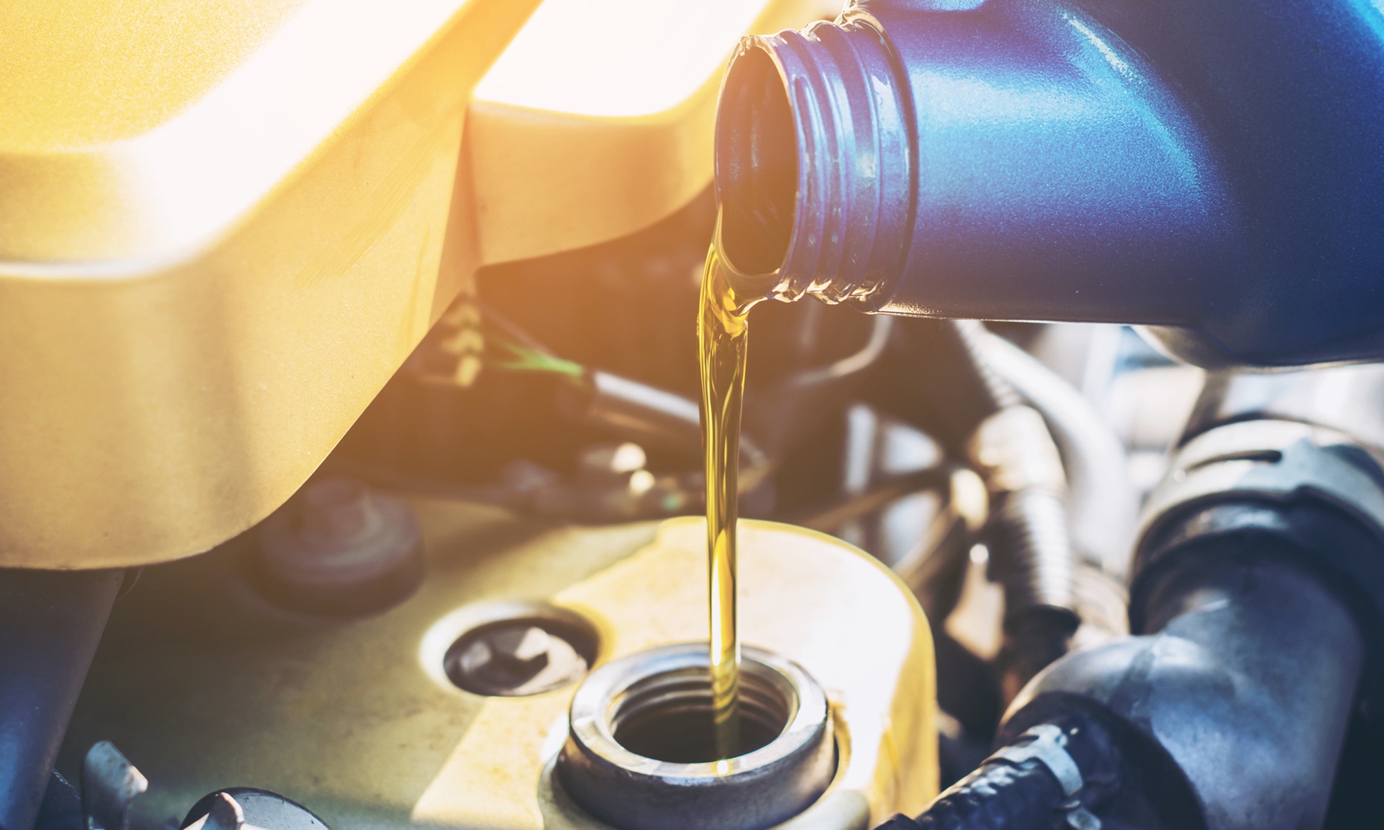 Full Synthetic Oil Change (5 or 6.5 qts) w/ European Liqui Moly Option