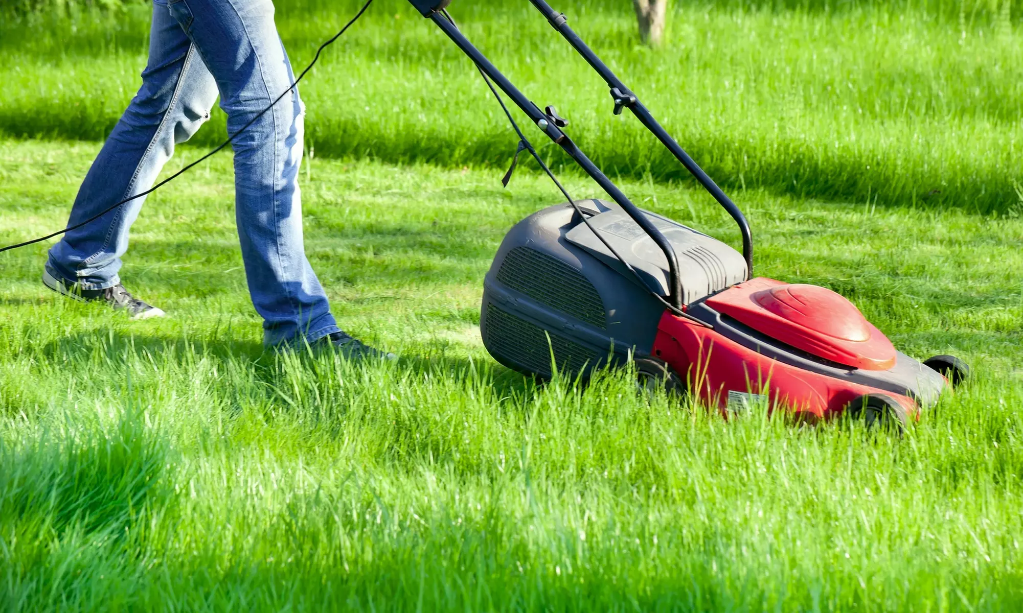 Up to 47% Off on Lawn Mowing Service at Mikes Leaf and Lawn Care LLC - Primary Image
