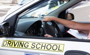 Pass Driving Test Online Course