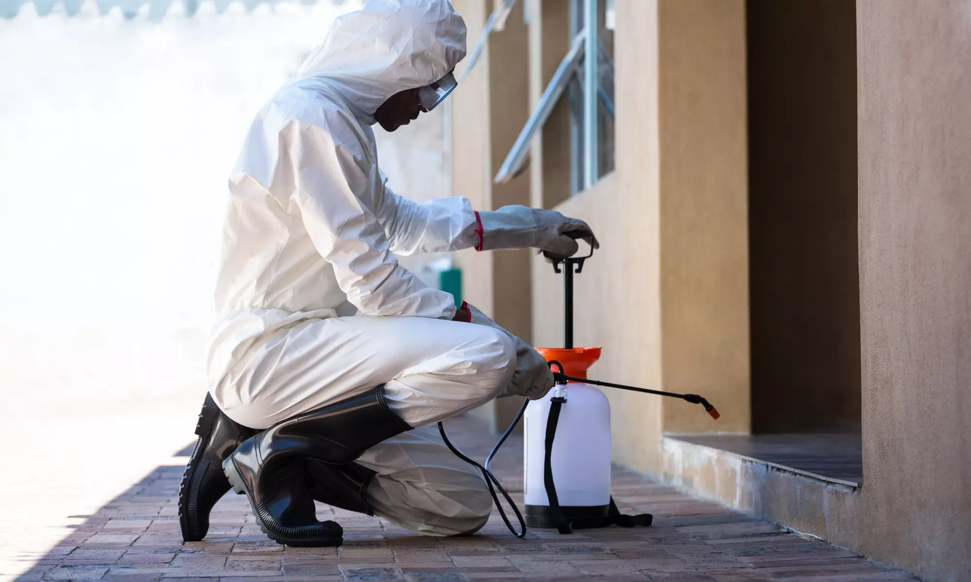 Up to 50% Off on Pest Control Service - General at Jon Gault Pest Solutions