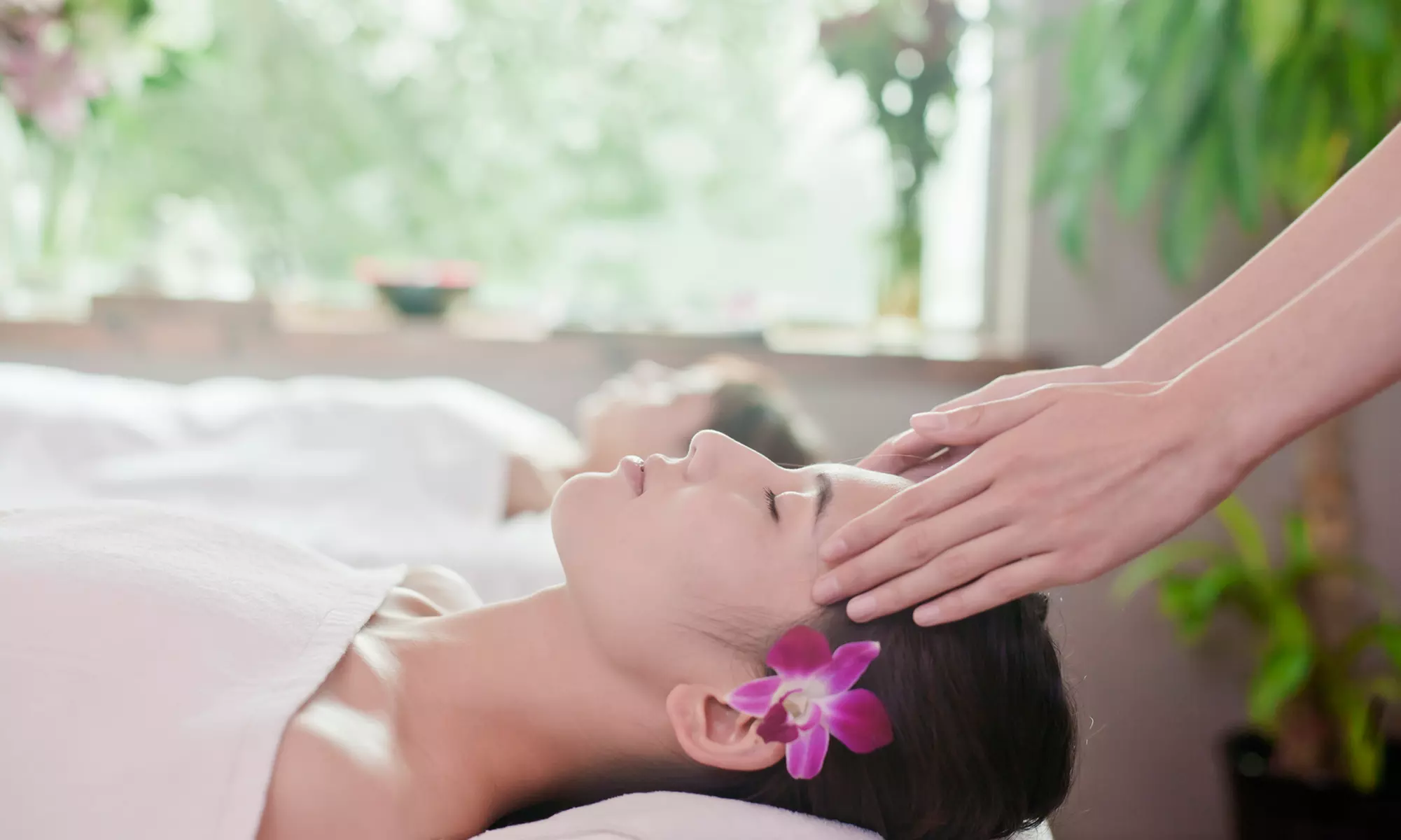 One or Two Cupping, Guasha, and Back Massages with Essential Oil Sessions at Garden Massage Spa (Up to 51% Off) - Primary Image