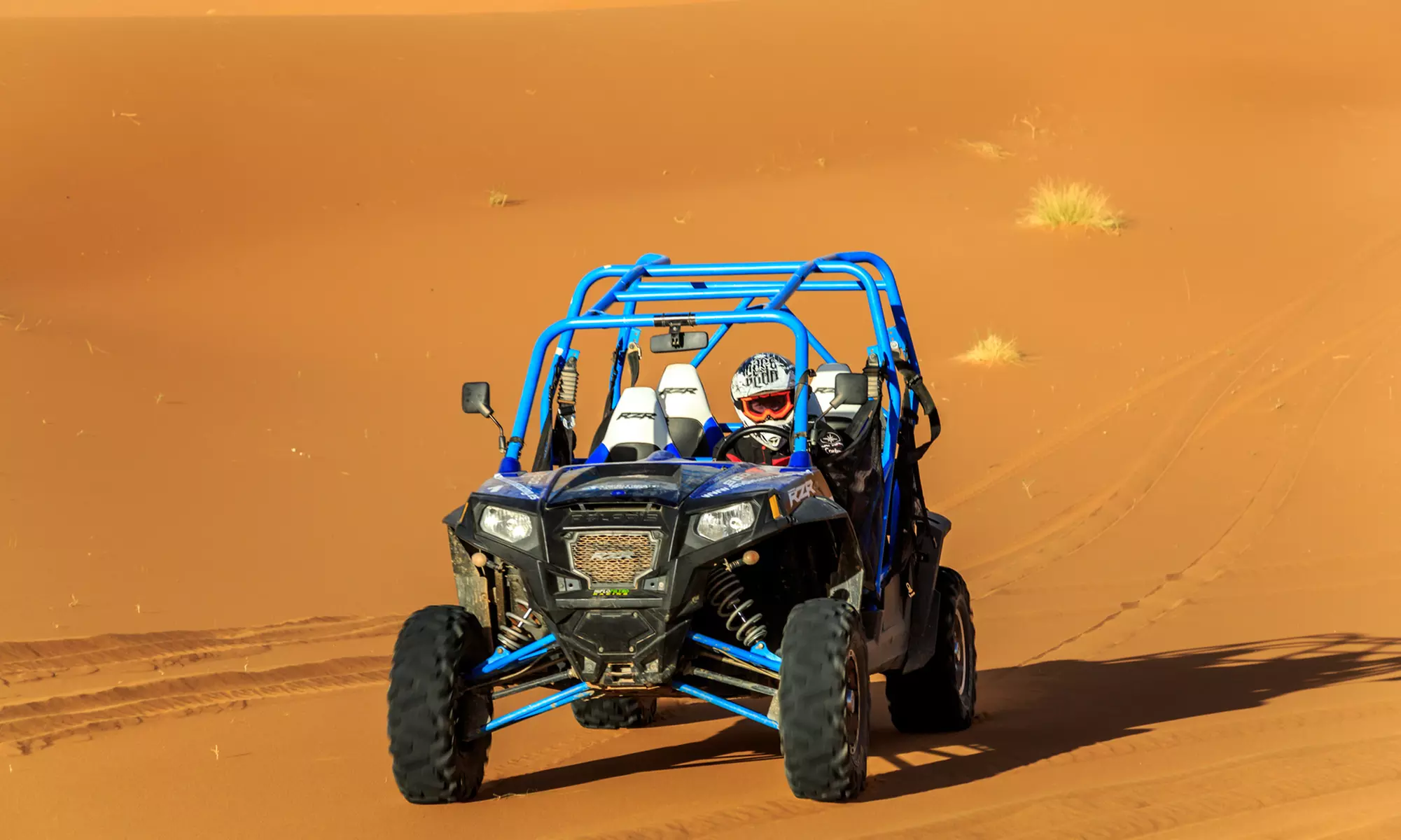 VIP Dessert Safari Tour For 1, 2, or 4 People