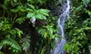 Relax, Restore, Renew: Transformative Reiki Sessions with Lisa Dee (Up to 52% Off)