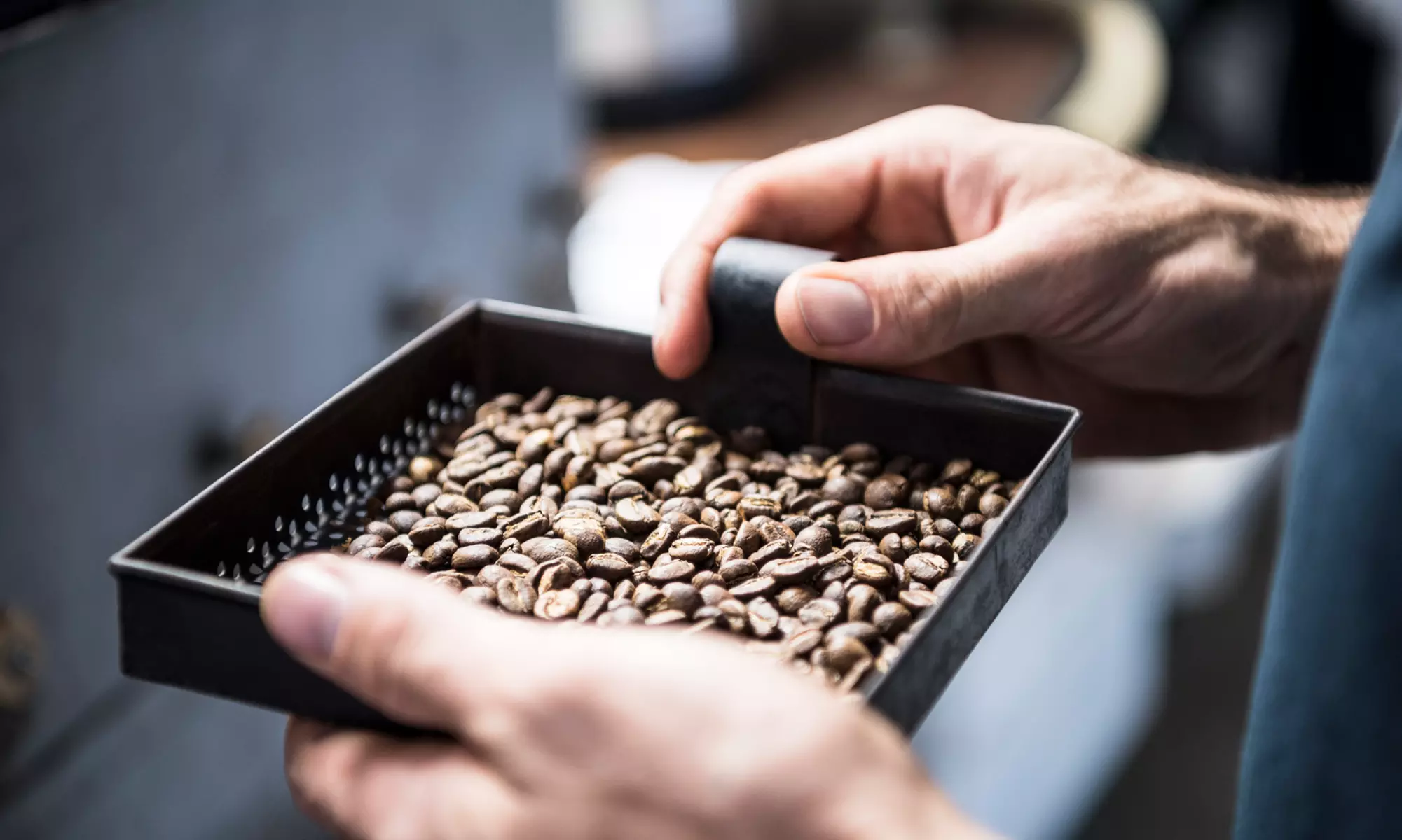 Digitales Barista-/Kaffeeröster oder Coffee Basics-Seminar mit der Altstadt Rösterei Köln (bis zu 31% sparen) - Primary Image