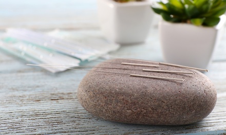 Certificate in Acupuncture Course - Skills Pack