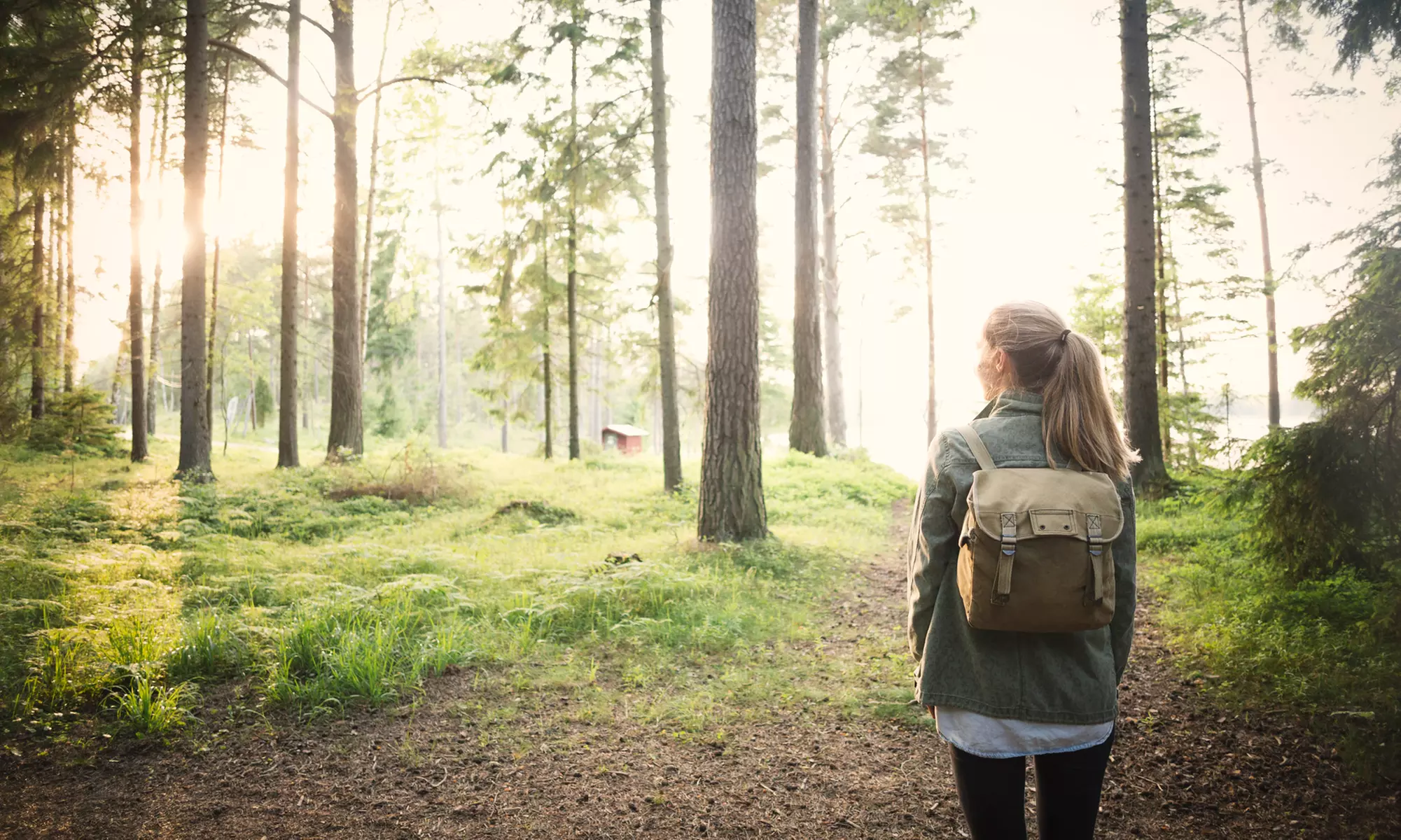 Góry Świętokrzyskie: 2-5 nocy ze śniadaniami i pakietem atrakcji