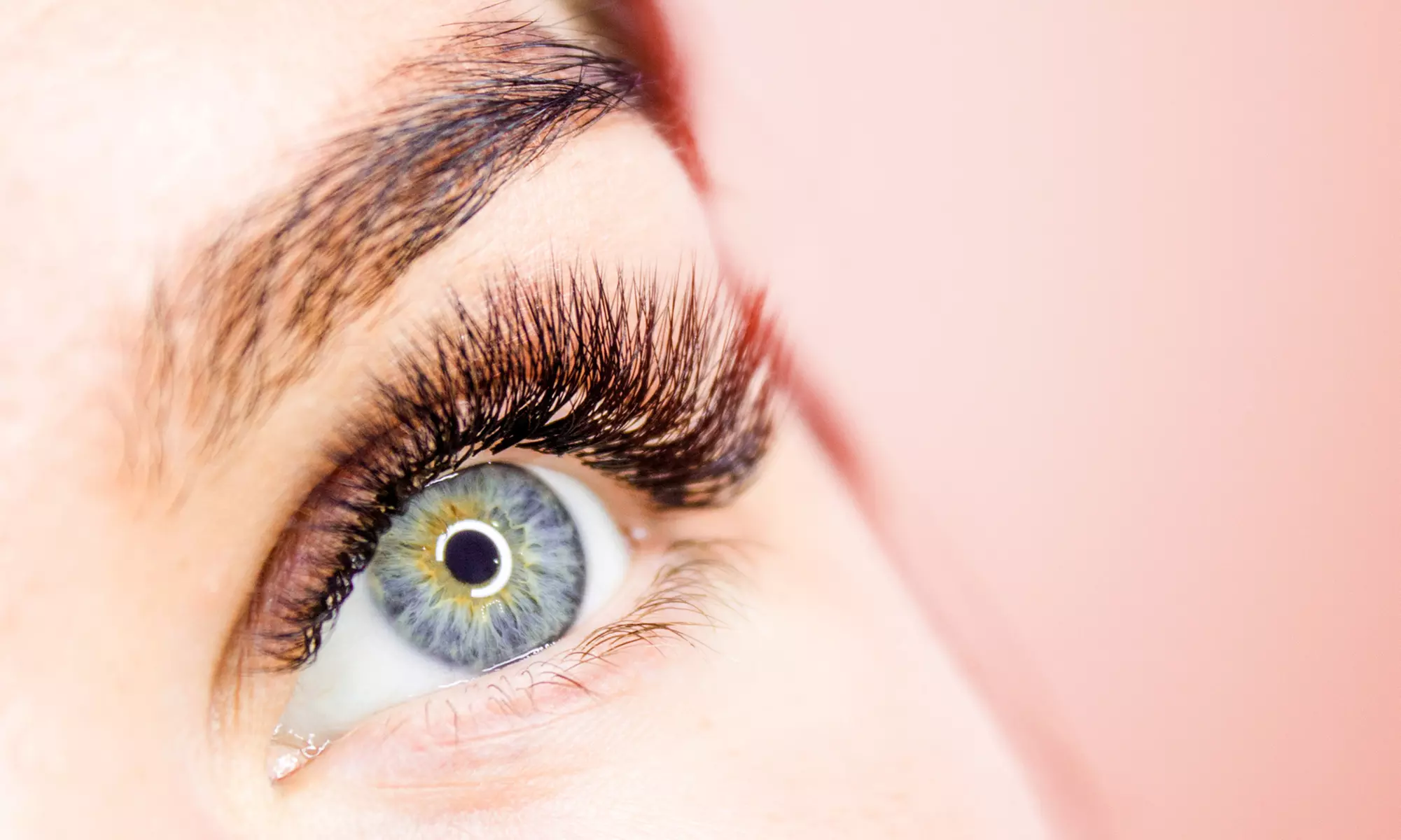 Ca. 90 Min. Wimpernverlängerung mit 1:1 (Mascara Look) oder 3-5D (Multivolumen) für 1 Person (bis 39% sparen) - Primary Image