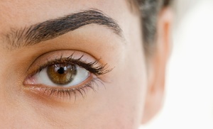 Up to 30% Off on Eyebrow Tinting at Eyelashes R Us