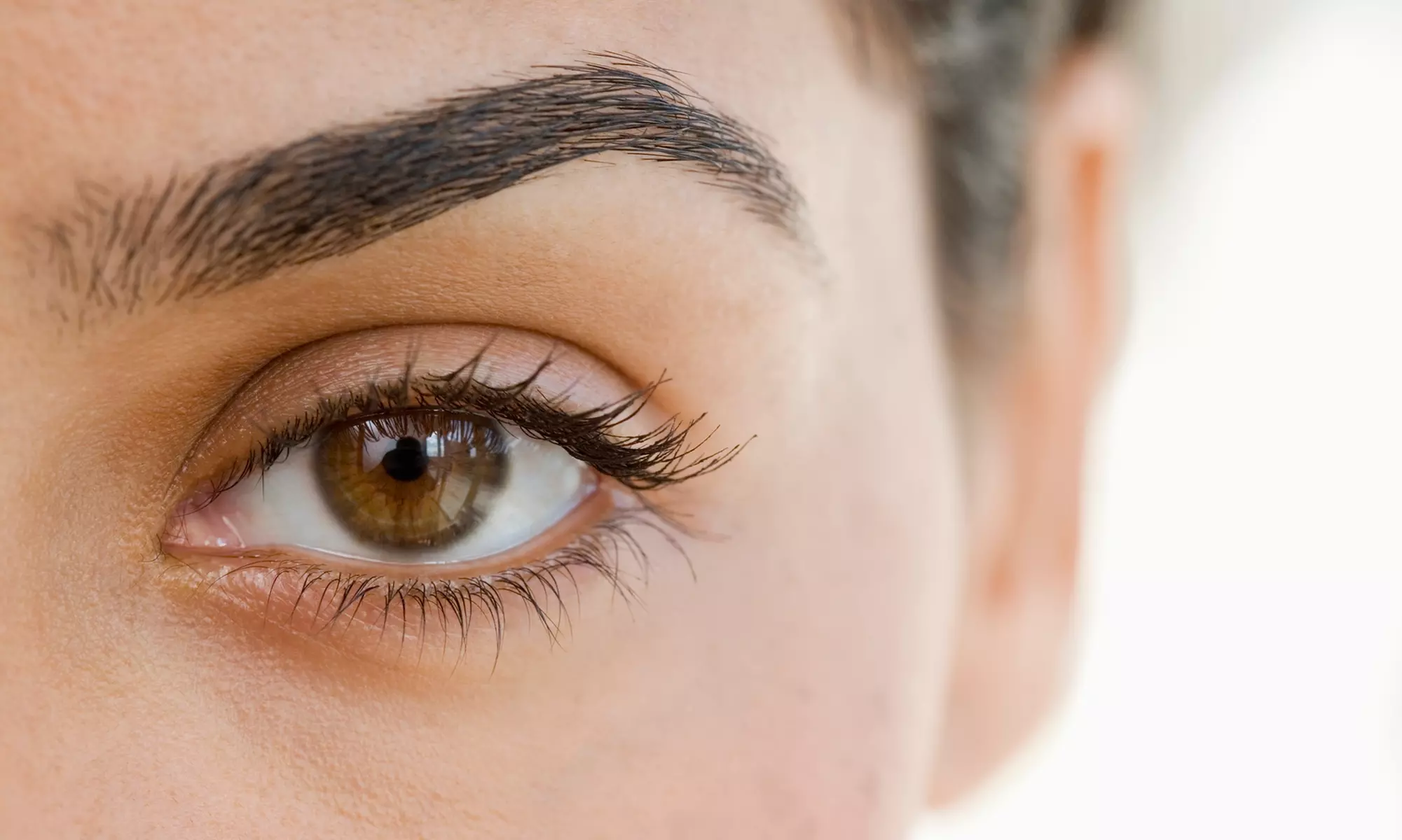 One Eyelash-Lifting and Optional -Tinting Session at Fountain of Youth SkinCare & Laser Studio (Up to 47% Off) - Primary Image