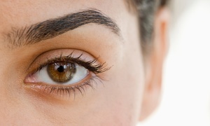 Ombre/Feather Eyebrow Tattoo at Ana's Holistic Health and Beauty