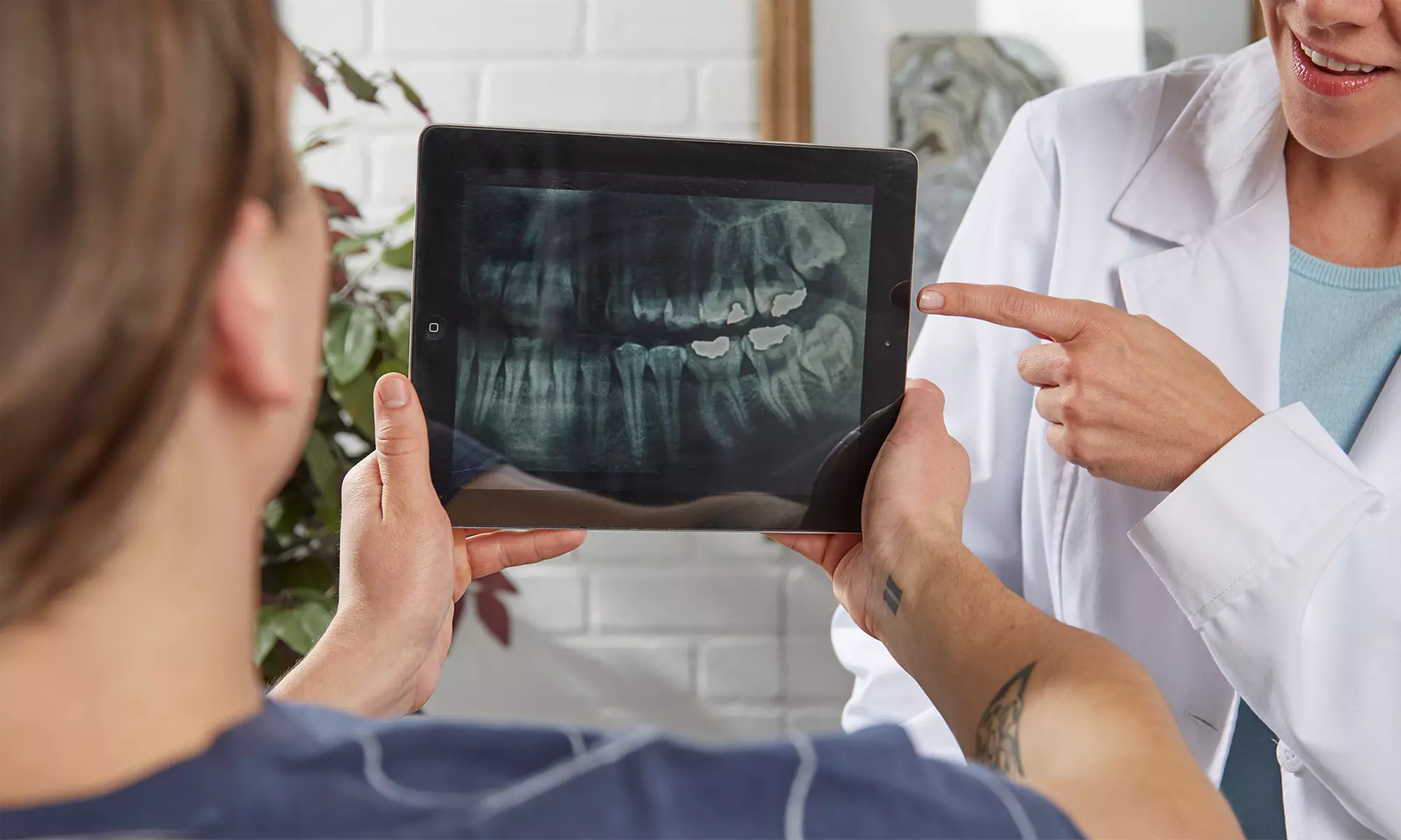 $89 for Exam, Full-Mouth Digital X-Rays, and Pro-Cleaning at Cambria Family Dental Center ($405 Value) - Primary Image