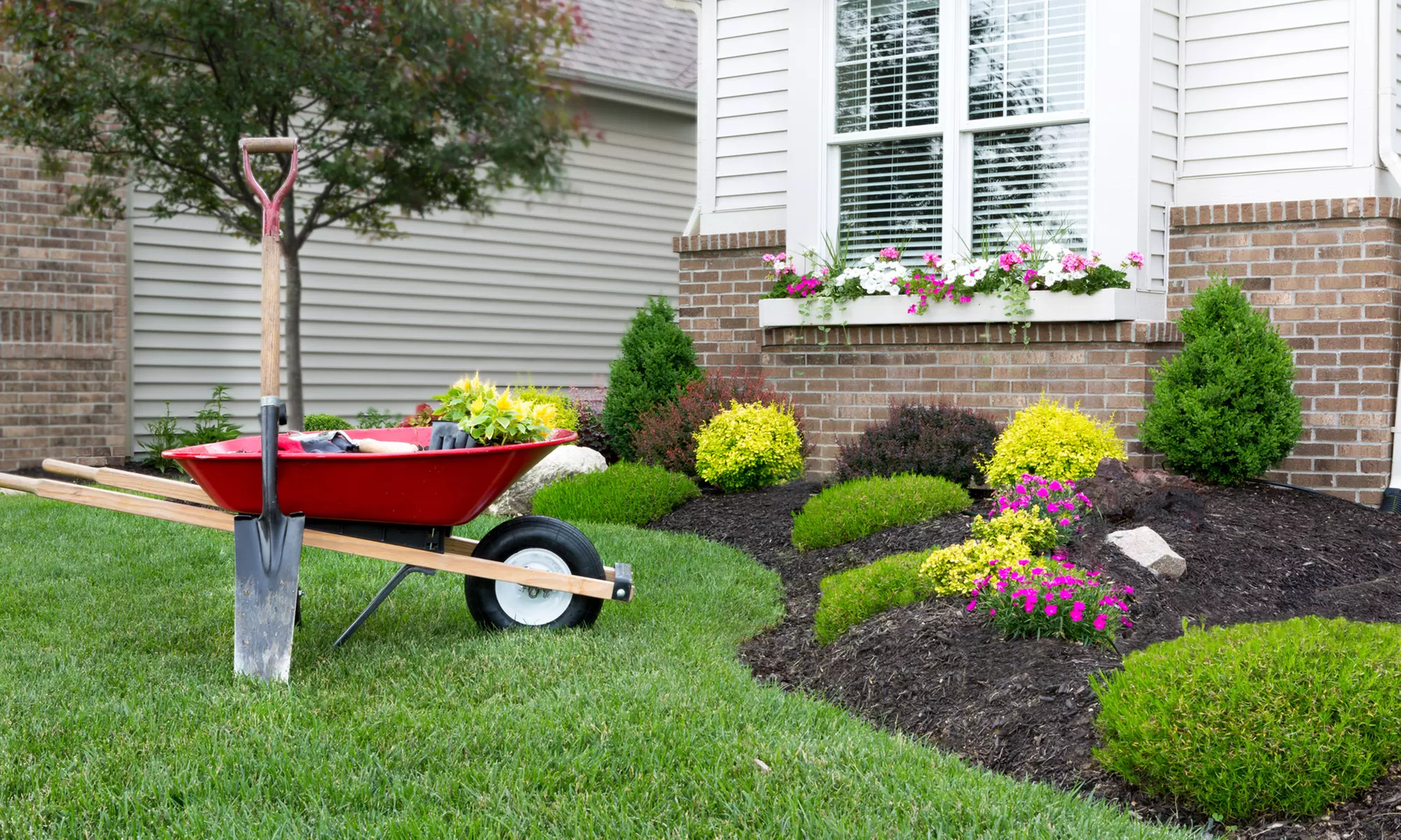 Effortless Yard Care with One or Three Hours of Expert Yard Work Services (Up to 57%Off) At Saddle Up Cleaning - Primary Image