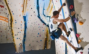 Bouldering or Ropes Courses at Brooklyn Boulders West Loop