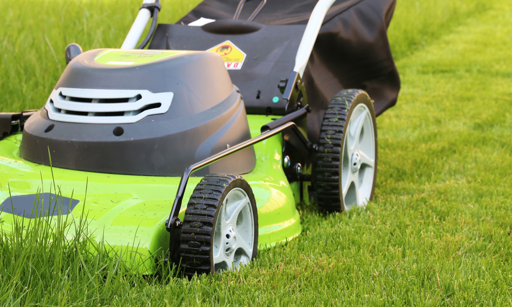 Effortless Weekly or  Bi-Weekly Professional Lawn Mowing