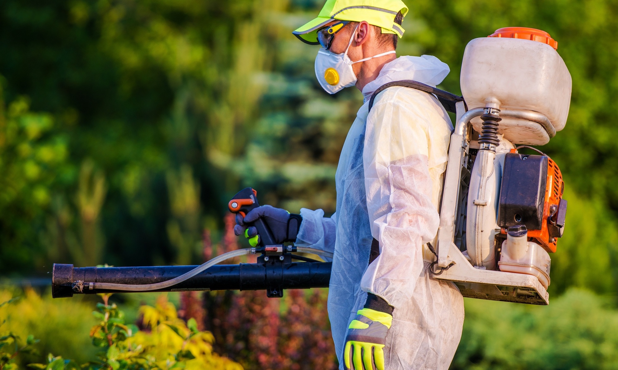 Pest Control & Exterior Prevention Services 