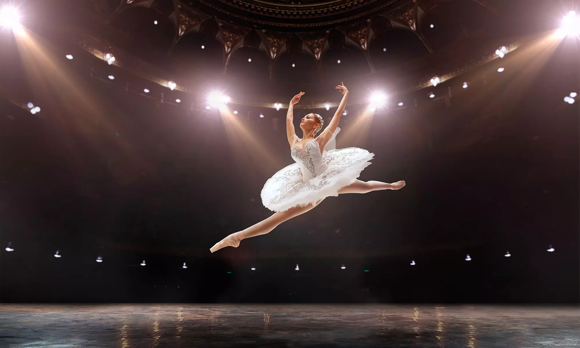 The Nutcracker - Dec 11, 2024, 7:00 PM - Primary Image