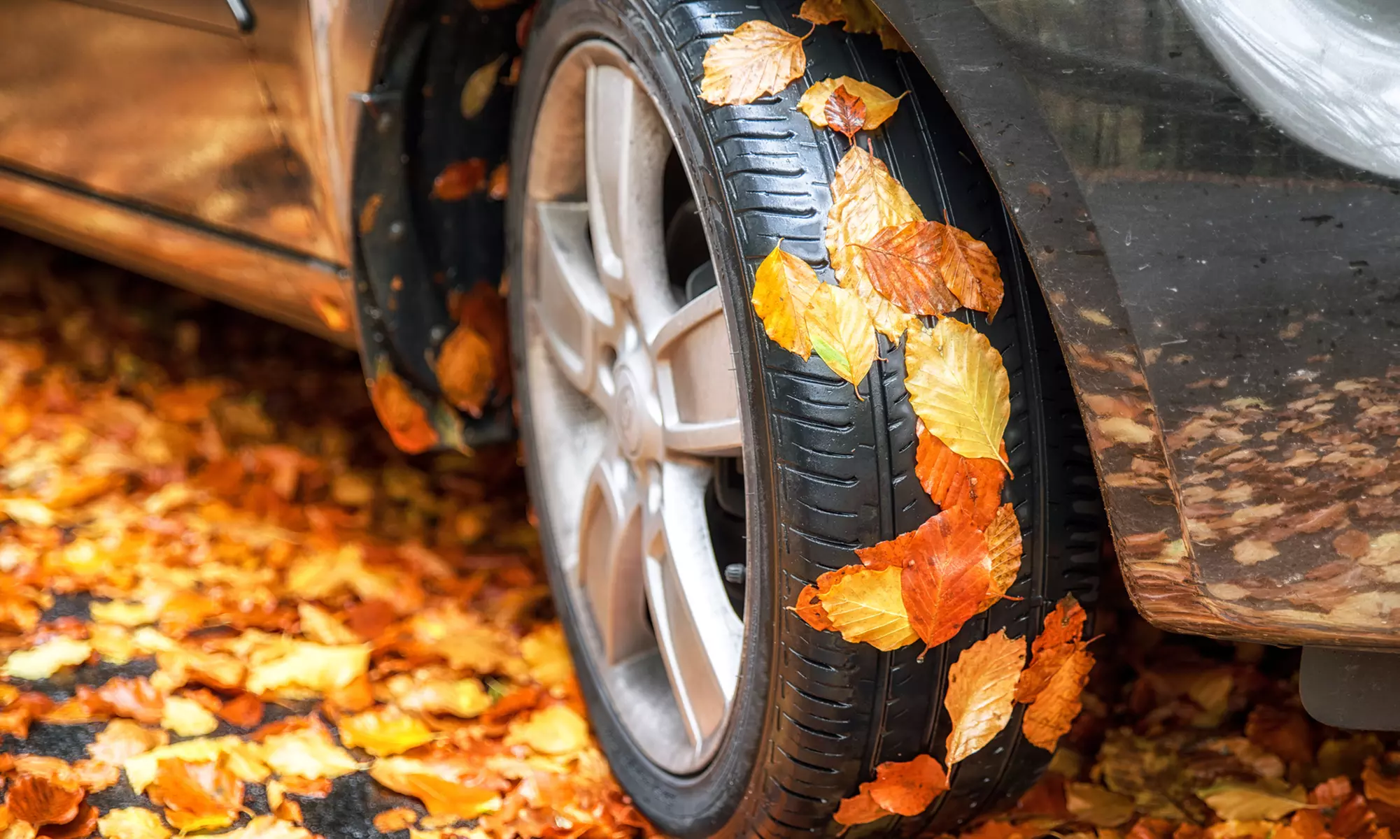 
$50 for $100 Gift Certificate at Big O Tires
 - Primary Image