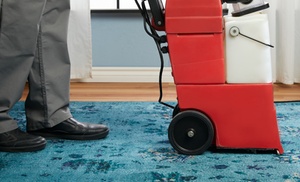 Carpet Cleaning